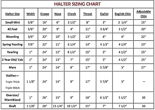 Turnout Leather Halter for Horses with Customized Engraved Name Plate | Brown Leather with Solid Brass Hardware | Fixed Chin, Double Buckle Crown