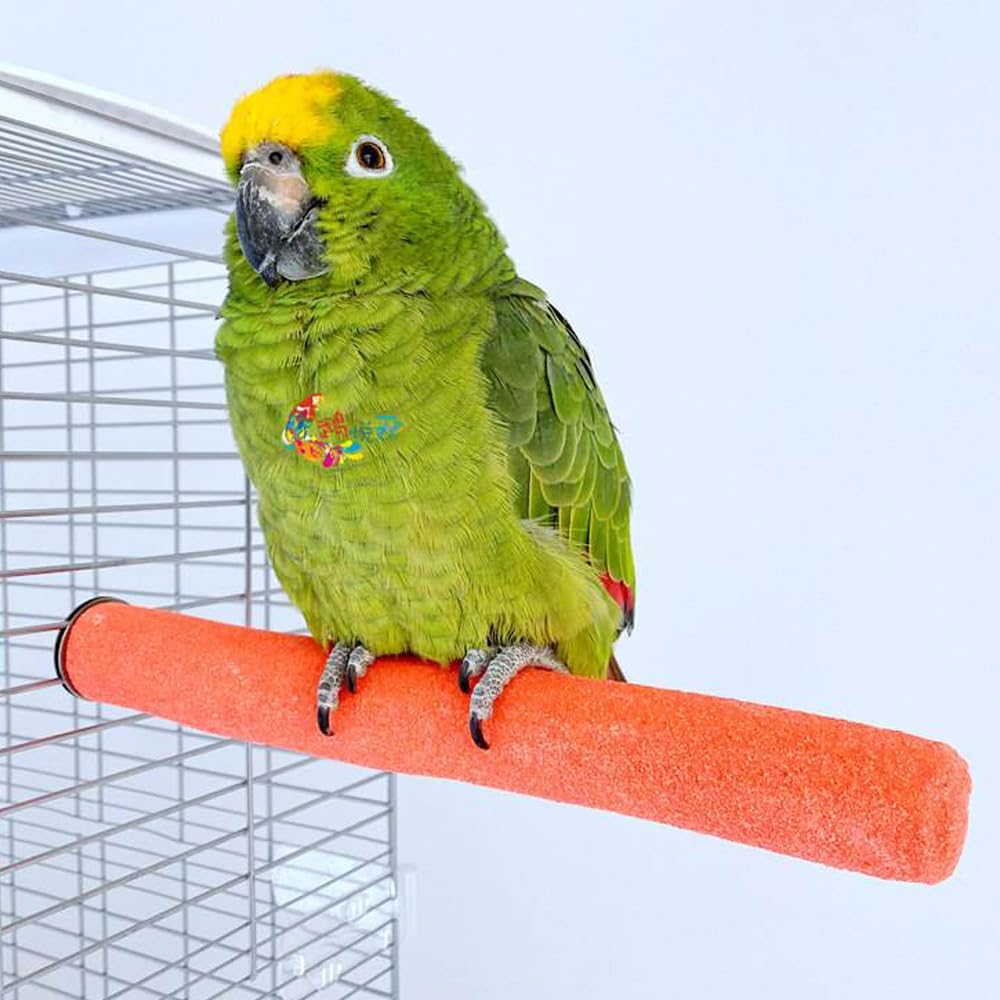 10 PCS Parrot Perch Stand Bird Perch Stand Toy Colorful Paw Grinding Stick Cage Wooden Parakeet Perch Accessories for Cockatiels (7.87in/0.59in)