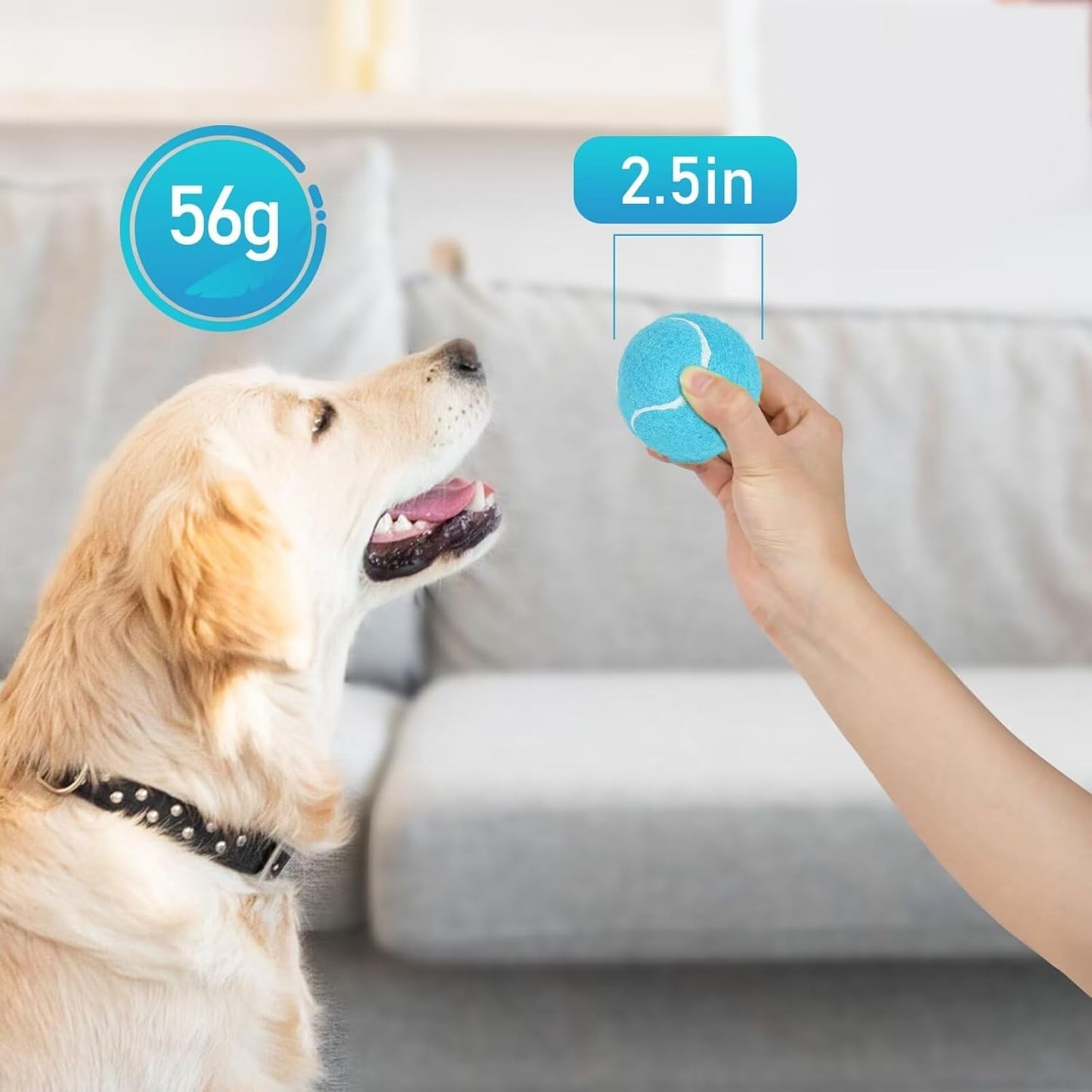 Prime Pets Tennis Balls for Dogs, 2.5 Inch Squeaky Dog Toys, Interactive Pet Dog Toy Balls for Medium, Large Dogs, Squeaky Tennis Balls for Dogs