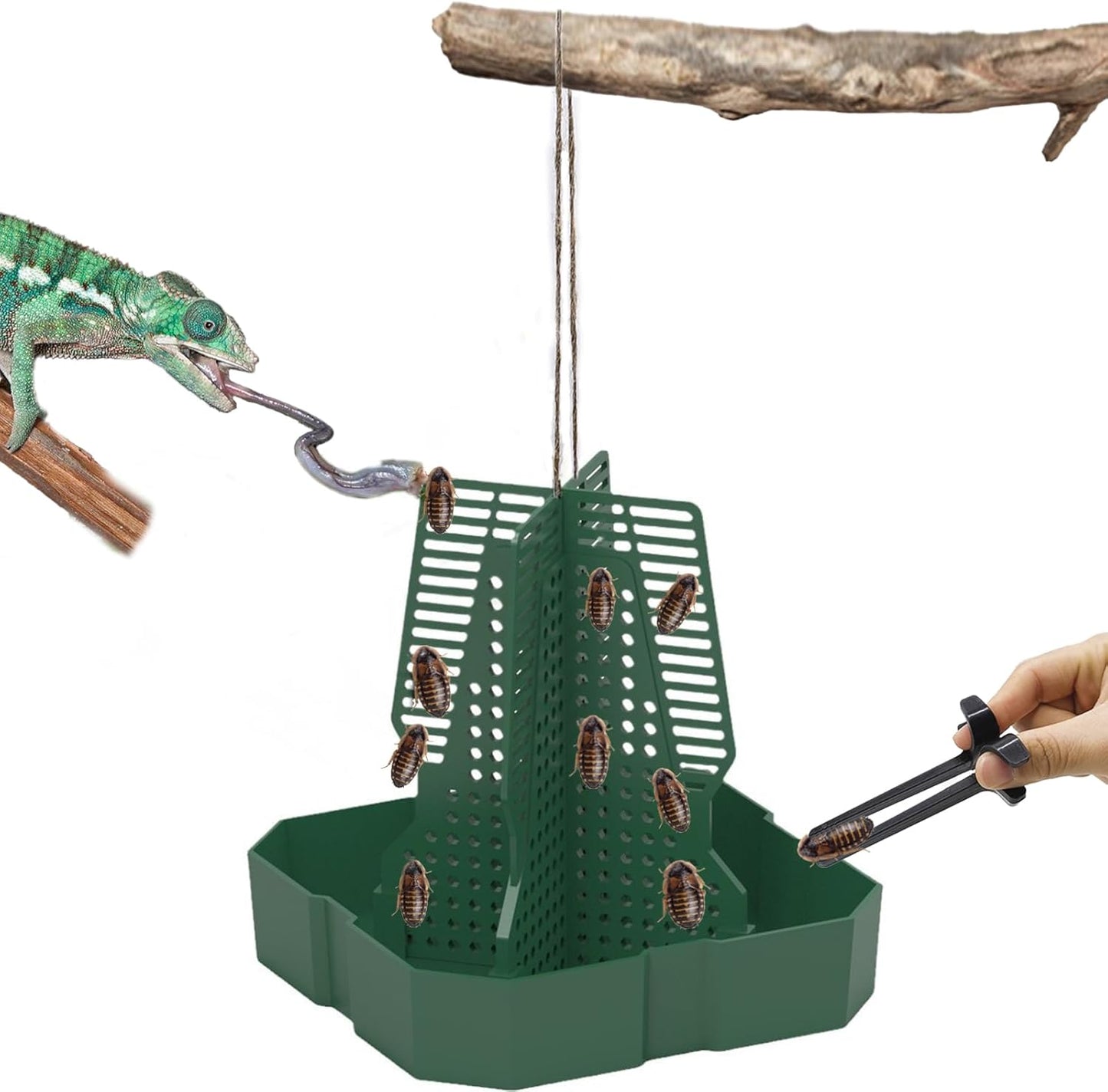 Chameleon Feeder+Bearded Dragon Feeder for Mounted Insect with Rope and Tweezers, Tank and Aquarium Accessories for Lizard, Bearded Dragon, Gecko, Frog(Medium)