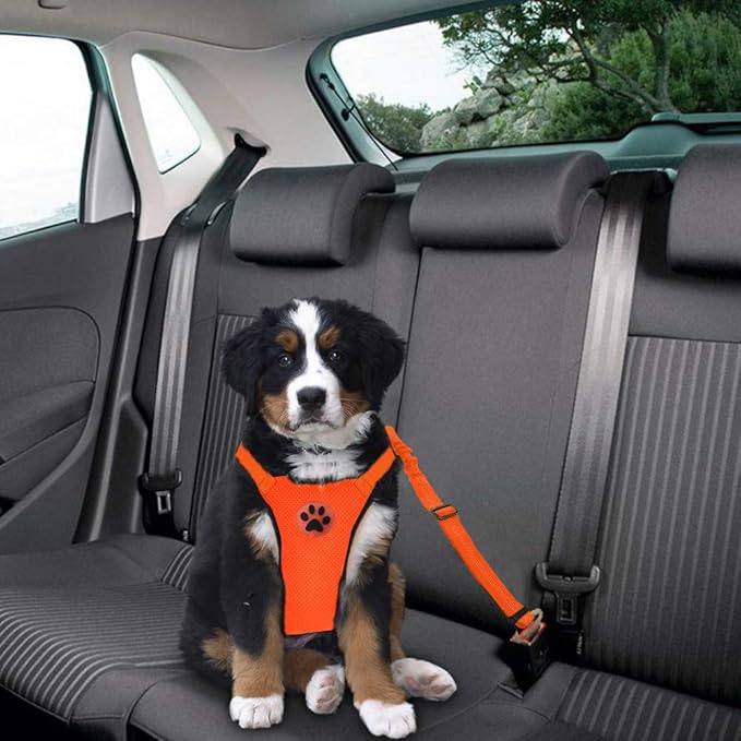 Lukovee Dog Seat Belt - Adjustable Dog Car Harness for Large, Medium, Small Dogs - Soft Padded & Breathable Mesh Dog Seatbelt with Vehicle Connector Strap (Orange, Small)