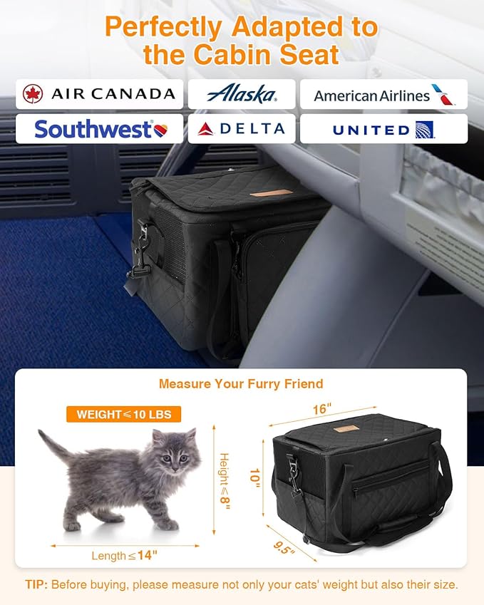 PETUX Small Cat Carrier - Pet Carrier Airline Approved for Kitten Under 10 lb - Escape-Proof, Foldable & Portable Cat Carriers for Travel, Vet Visits with Removable Bag, Safety Buckle & Leash - Black