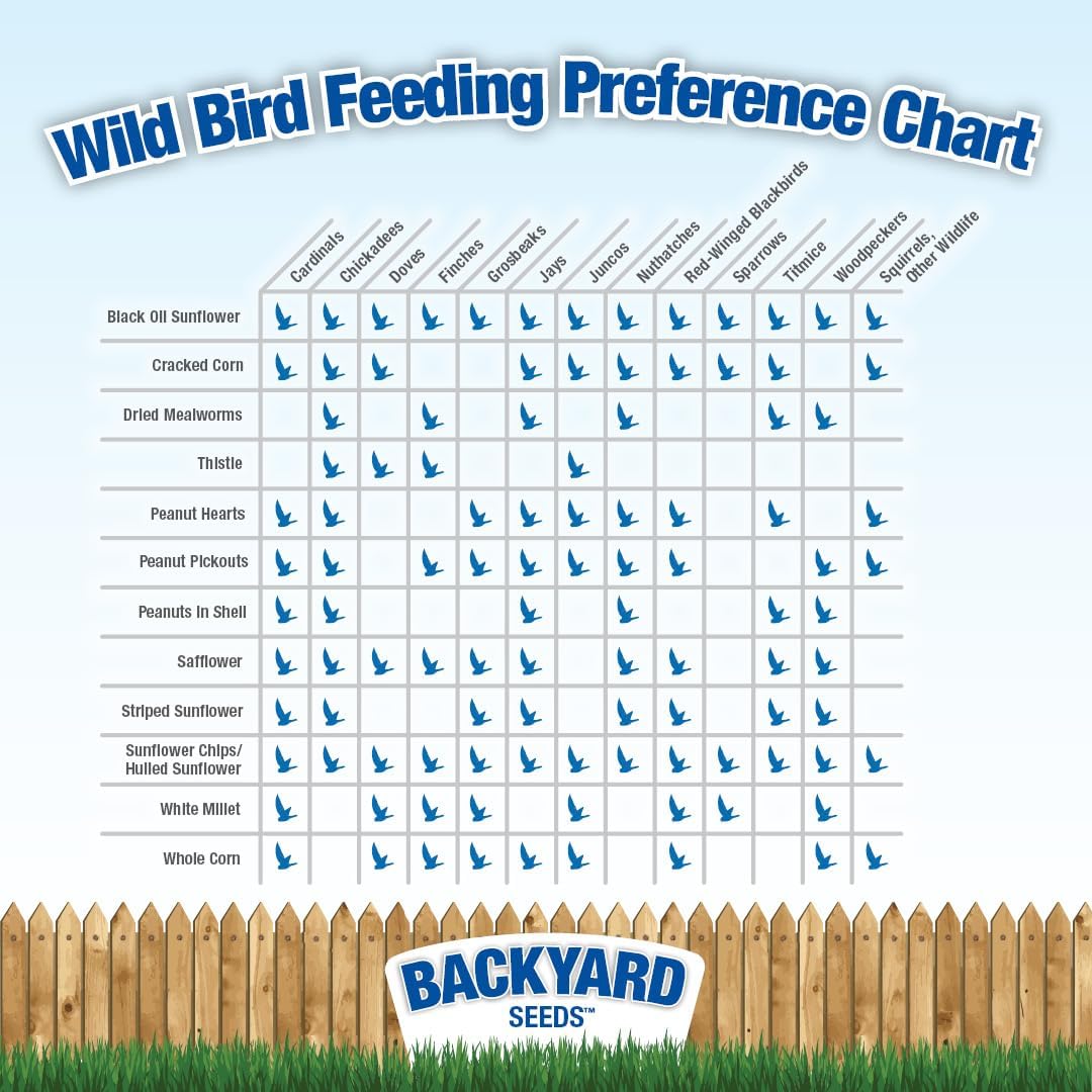 Thistle Seed for Finches – Premium Wild Bird Food for Goldfinches, Siskins & Small Songbirds | High-Energy, No-Filler, Cleaned Seed 7 lbs