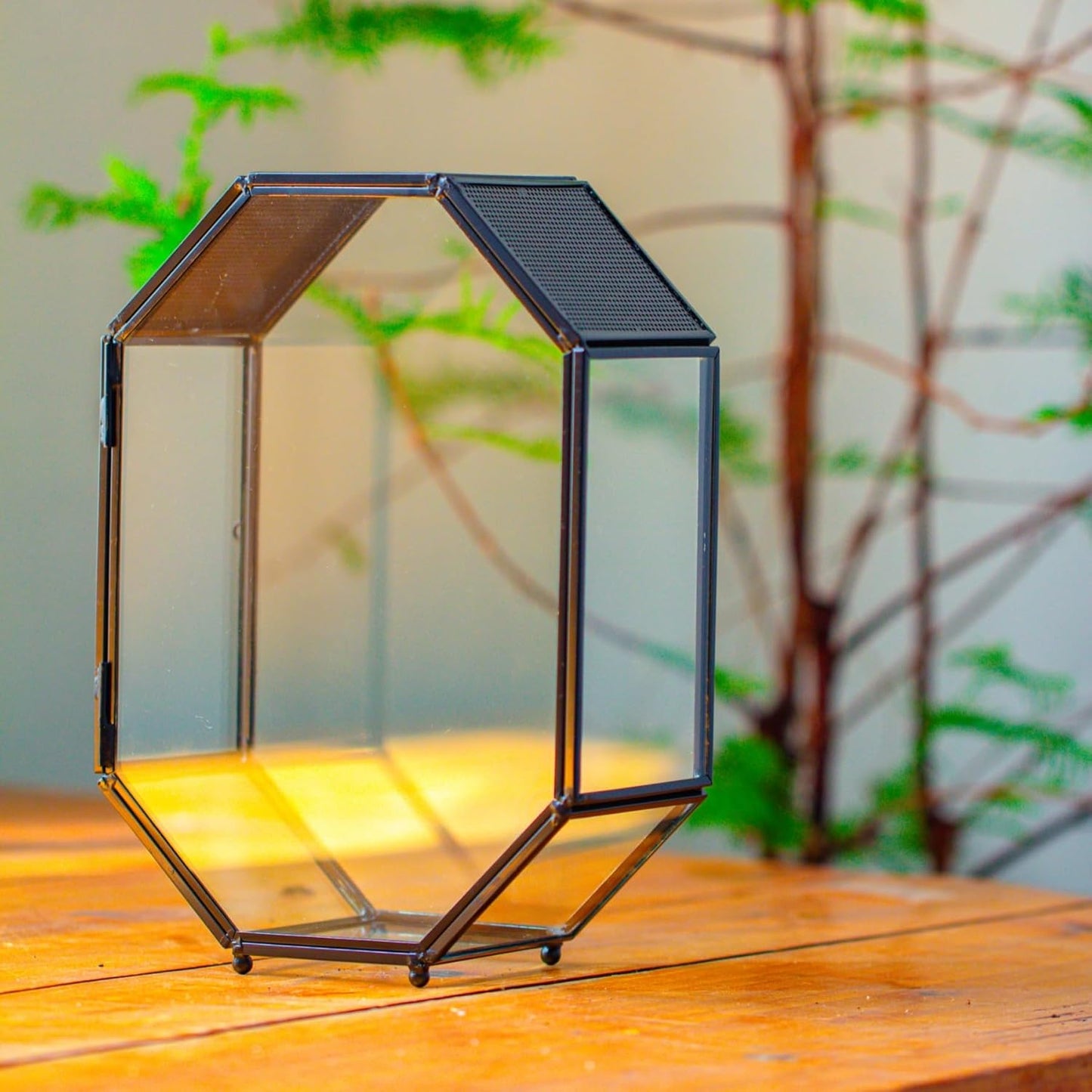 NCYP Glass Enclosure Terrarium with Mesh and Door for Jumping Spiders, Snails, Insects - Octagon Shape Small Succulents Terrarium 6.2 x 3.1 x 8.7 inches, Black Tabletop Decor (Plants Not Include)