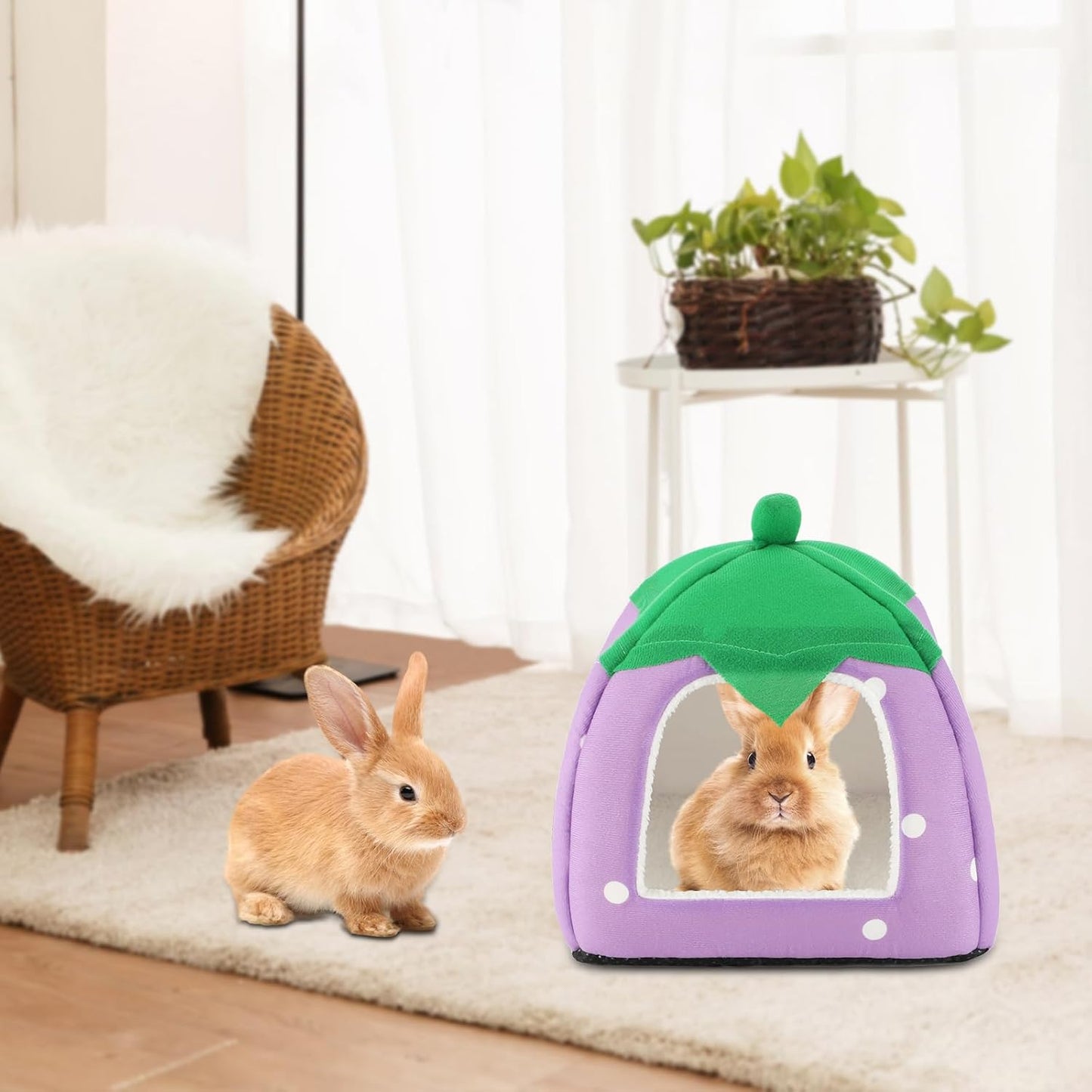 BWOGUE Guinea Pig House Bed Cozy Hamster Cave Large Hideout for Dwarf Rabbits Hedgehog Bearded Dragon Winter Nest Hamster Cage Accessories