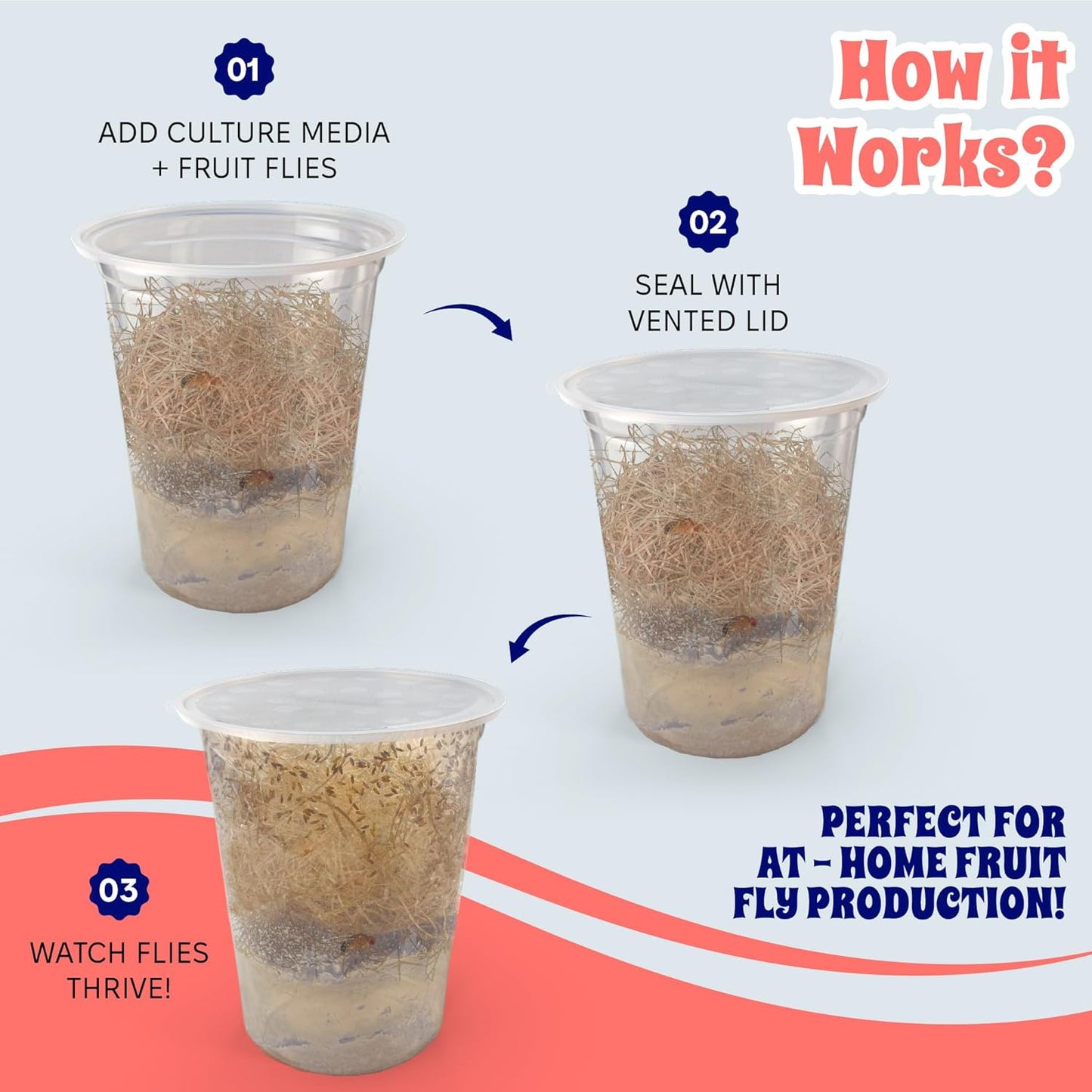 Snout and Shell Deli Cups with Fabric Vented Lids, 10 Pack - Secure Fruit Fly & Insect Cultures, Prevent Escapes & Contaminants, Easy Fruit Fly Media Preparation, Hot Liquid Safe