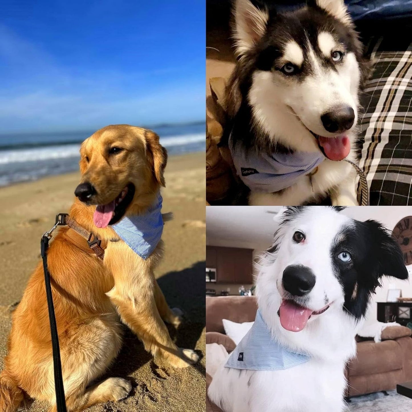 Dog Bandanas XLarge-5PCS DIY Bandanas Green Orange Pink Blue Gray Dog Scarfs Breed Bib Handkerchief for Large Dogs Puppies Pets