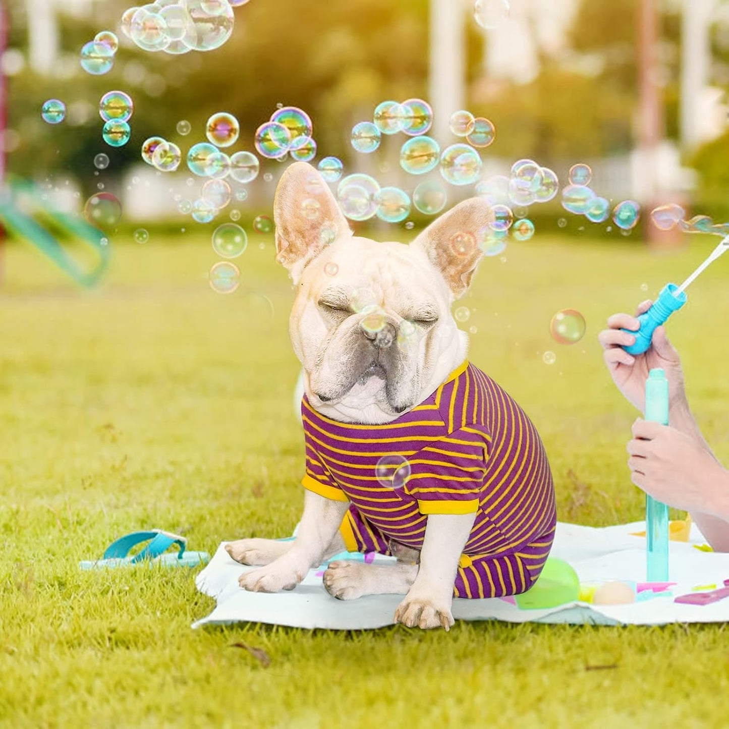 TONY HOBY Dog Pajamas, Male Dogs Warm Pajama with Thermal, Dog Jumpsuit Pajamas for Small Medium Dogs (Purple&Yellow, Boy, XL)