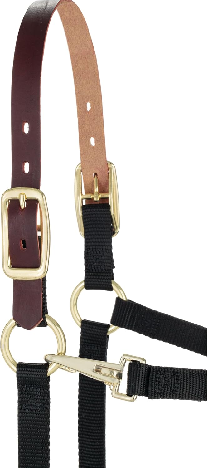 Weaver Equine Breakaway Horse Halter, Supple Leather Crown, Adjustable Chin & Throat Snap Halters for Horses, Equine Tack,Pony Size, Black