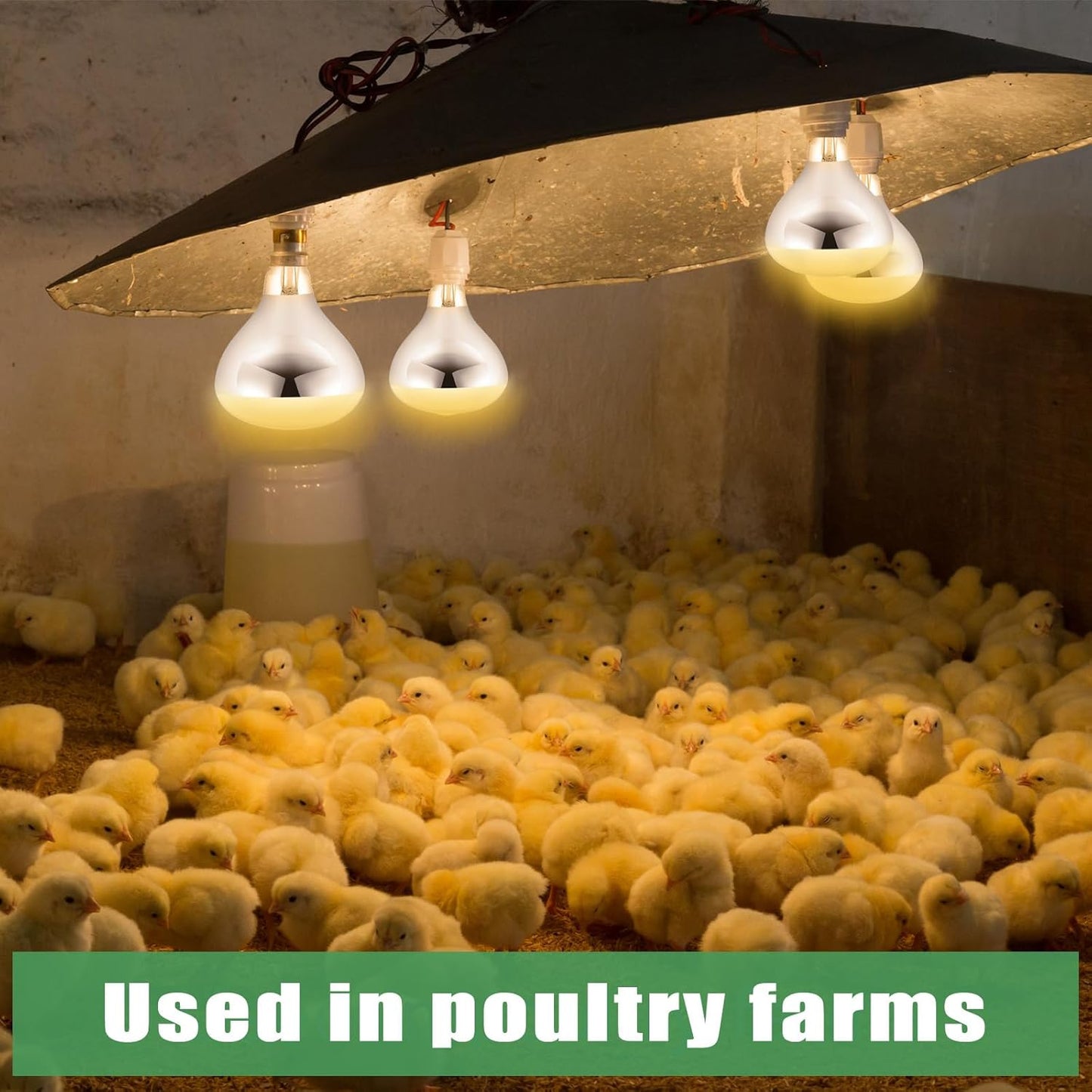 VIHOSE 16 Pack 250 Watt Heat Lamp 120v R40 Heat Lamp Bulbs Glass Incandescent Light Bulbs Incandescent Heating Lightbulbs for Reptiles Chicks Food Puppies Bathroom, Use E26 Base (Silver)