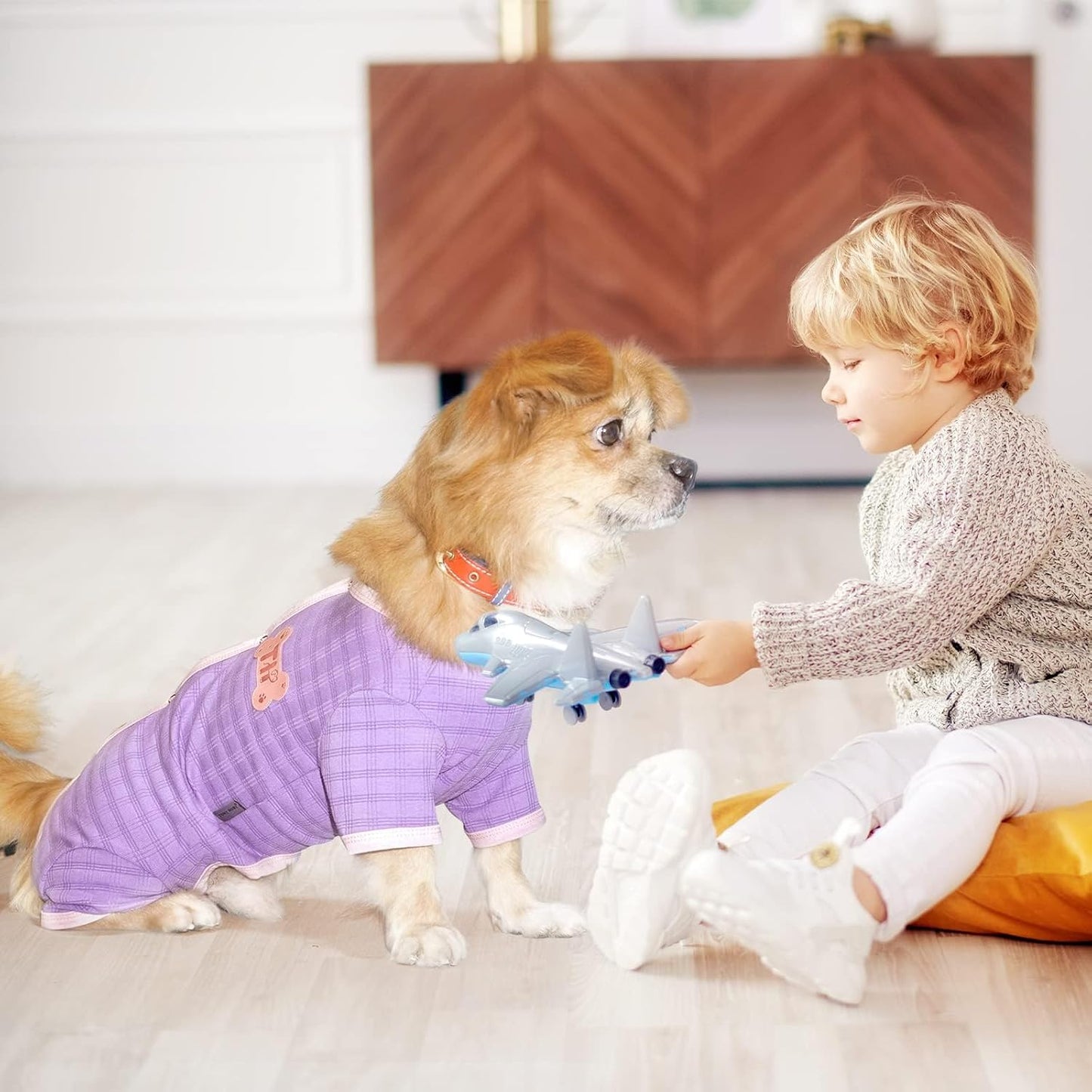 TONY HOBY Dog Pajamas, Dog Recovery Suit After Surgery, Soft Dogs Jumpsuit Shirts for Small Medium Dogs (Purple, Boy, L)