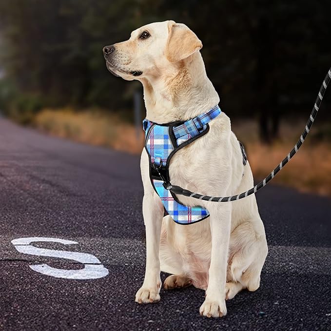 IVY&LANE No Pull Dog Harness with Leash Set, Reflective No Choke Pet Vest,Adjustable Oxford Dog Vest Harness with Easy Control Handle for Large Dogs (Checkered Blue,XL)