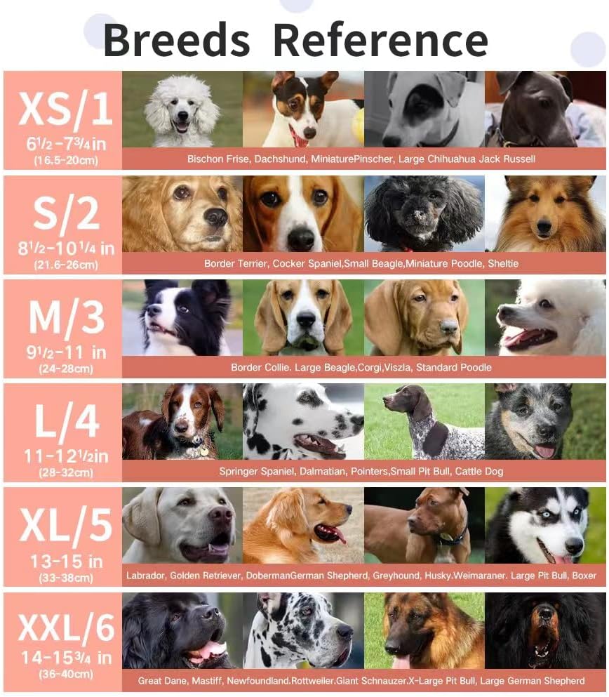 Dog Muzzle, Breathable Basket Muzzles for Small, Medium, Large and X-Large Dogs, Prevent Barking, Biting, Chewing Dog Mouth Cover Gray