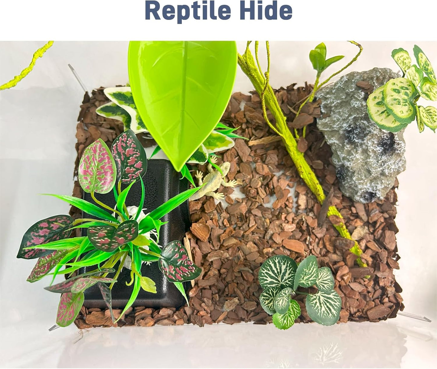 Small Humid Hideout Cave for Reptiles, Snake Hide for Ball Pythons, Gecko Hide, Leopard Geckos, Bearded Dragons,Compact Terrarium Decor with Easy-Clean Design (6.70"x4.72"x2.56")
