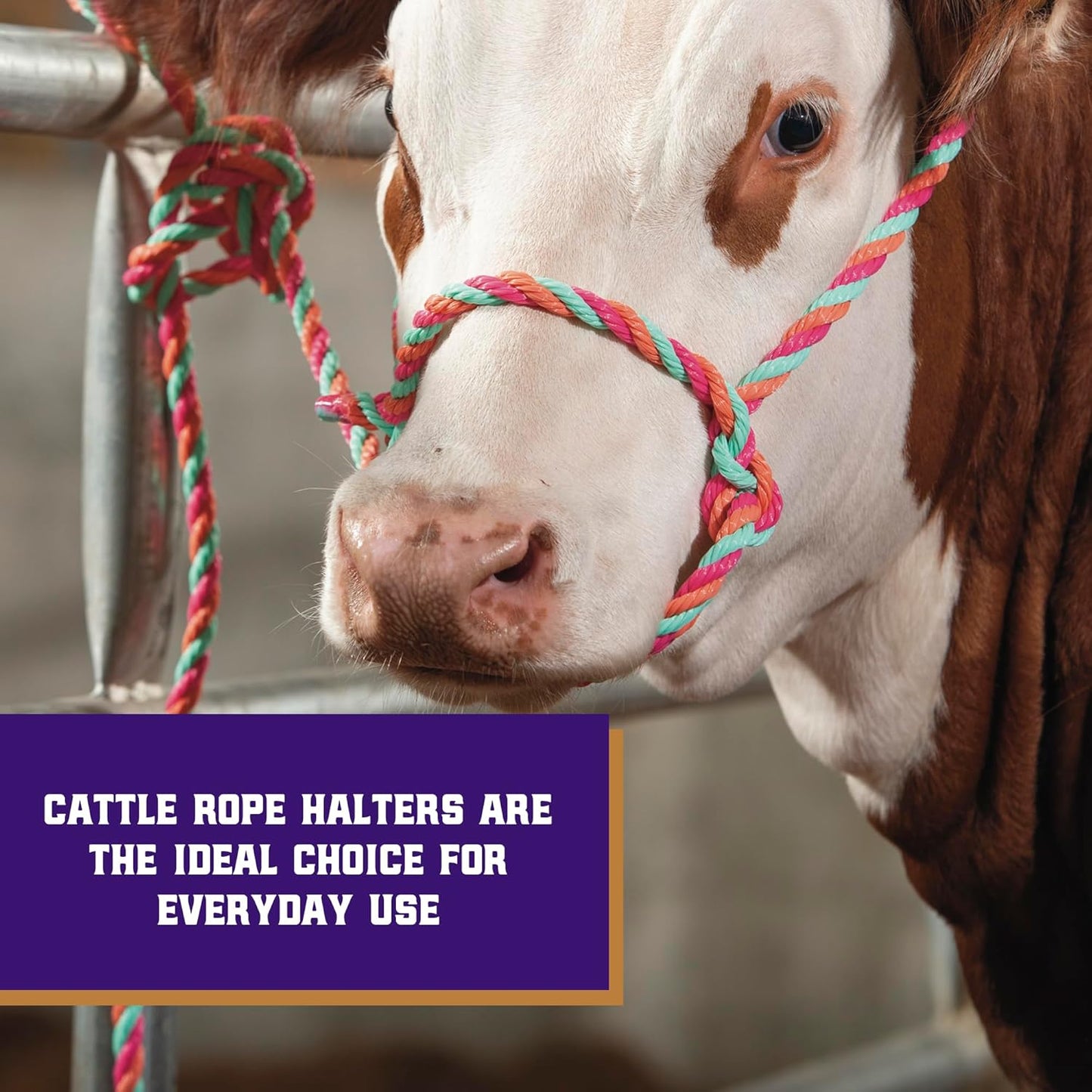 Weaver Livestock Braided Poly Rope Cattle Halter, Adjustable Style Cow Calf Halter, Livestock Handling Equipment for Showing, Hot Pink/Coral/Mint