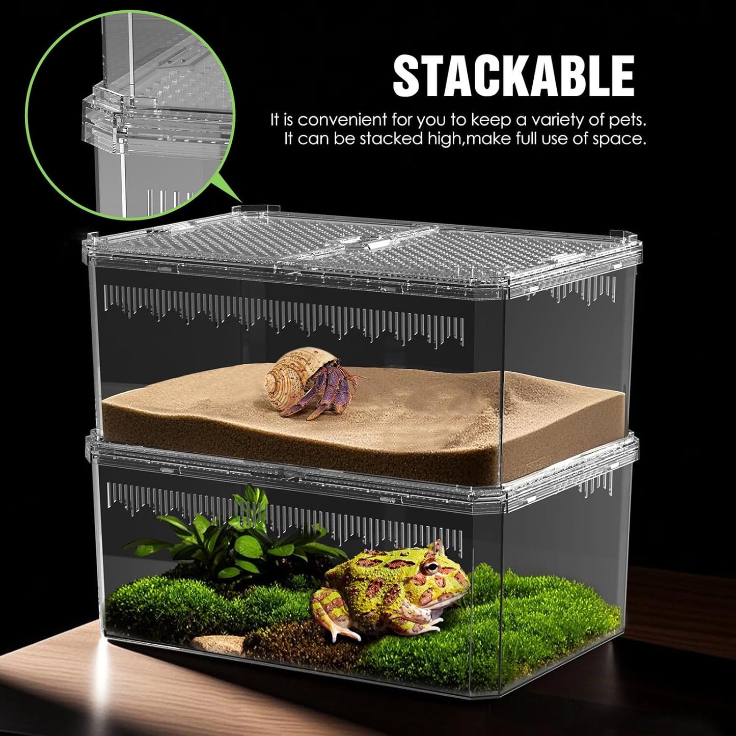 Breathable and Secure Reptile Tank with high Transparency - Ideal Container House for Hermit Crab, Tarantula Enclosure, Cricket Habitat or Jumping Spider Habitat (S)