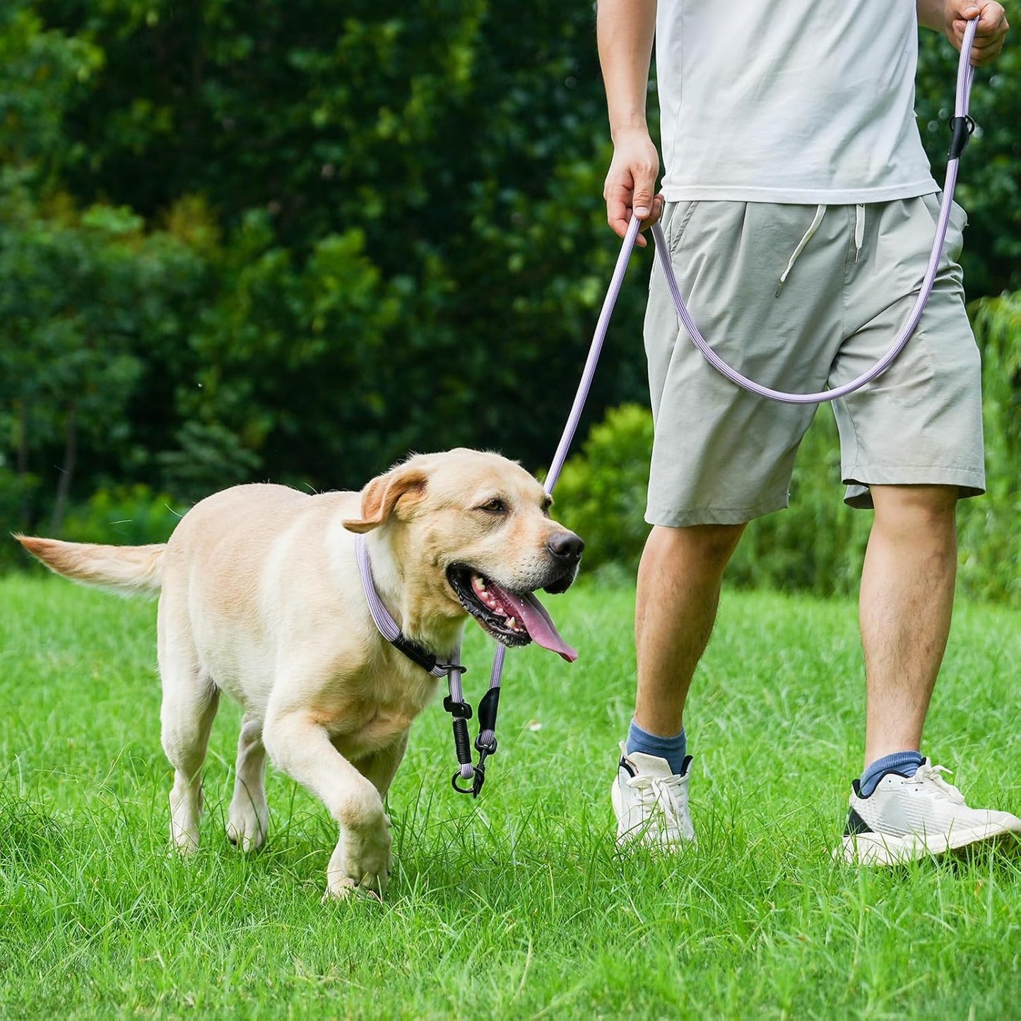 Rope Dog Leash with Two Handles, 6 Foot Heavy Duty Dog Leash with Aviation Aluminum Auto Locking Carabiner, Strong Nylon Pet Lead for Small, Medium, Large Dogs (Black, 6FT-Two Handle)