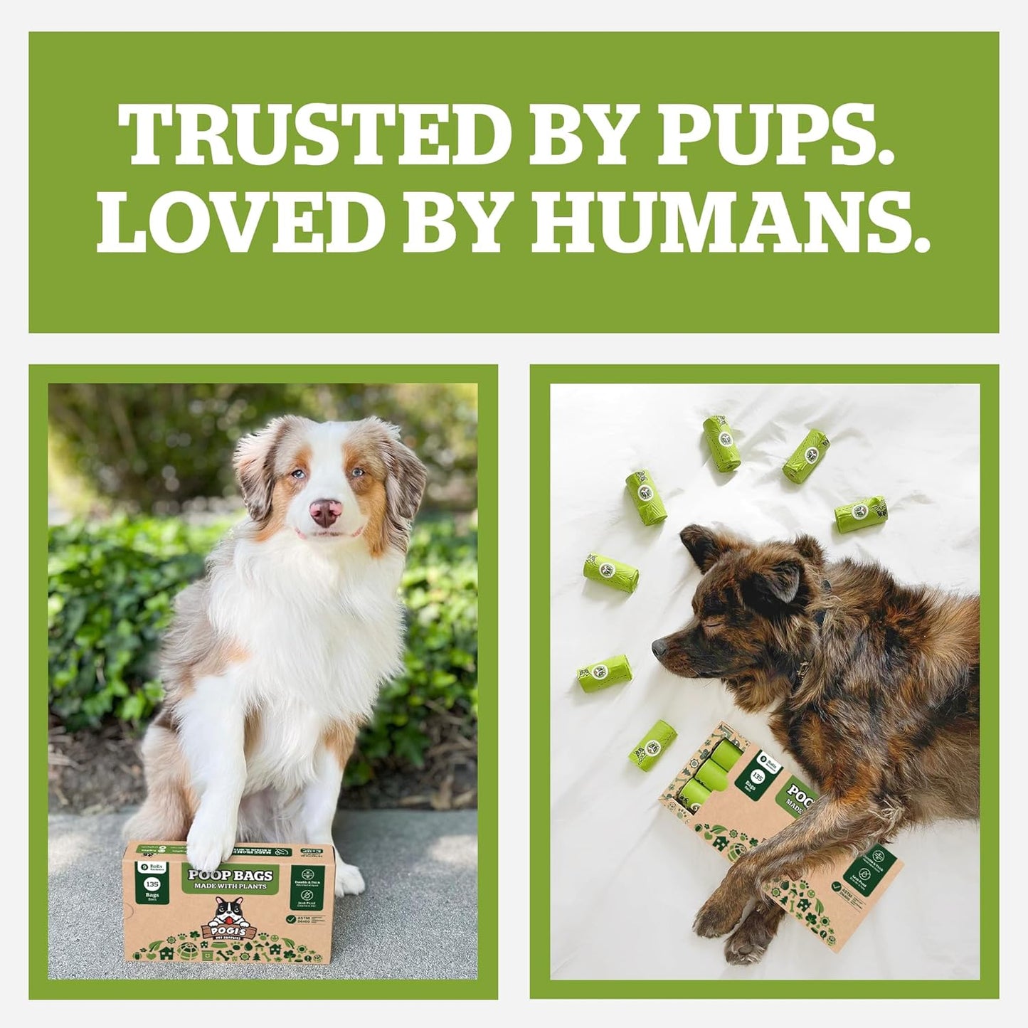 Pogi's Compostable Poop Bags – Leak-Proof, Extra-Large, Made with Plants – 32 Rolls (480 Bags)
