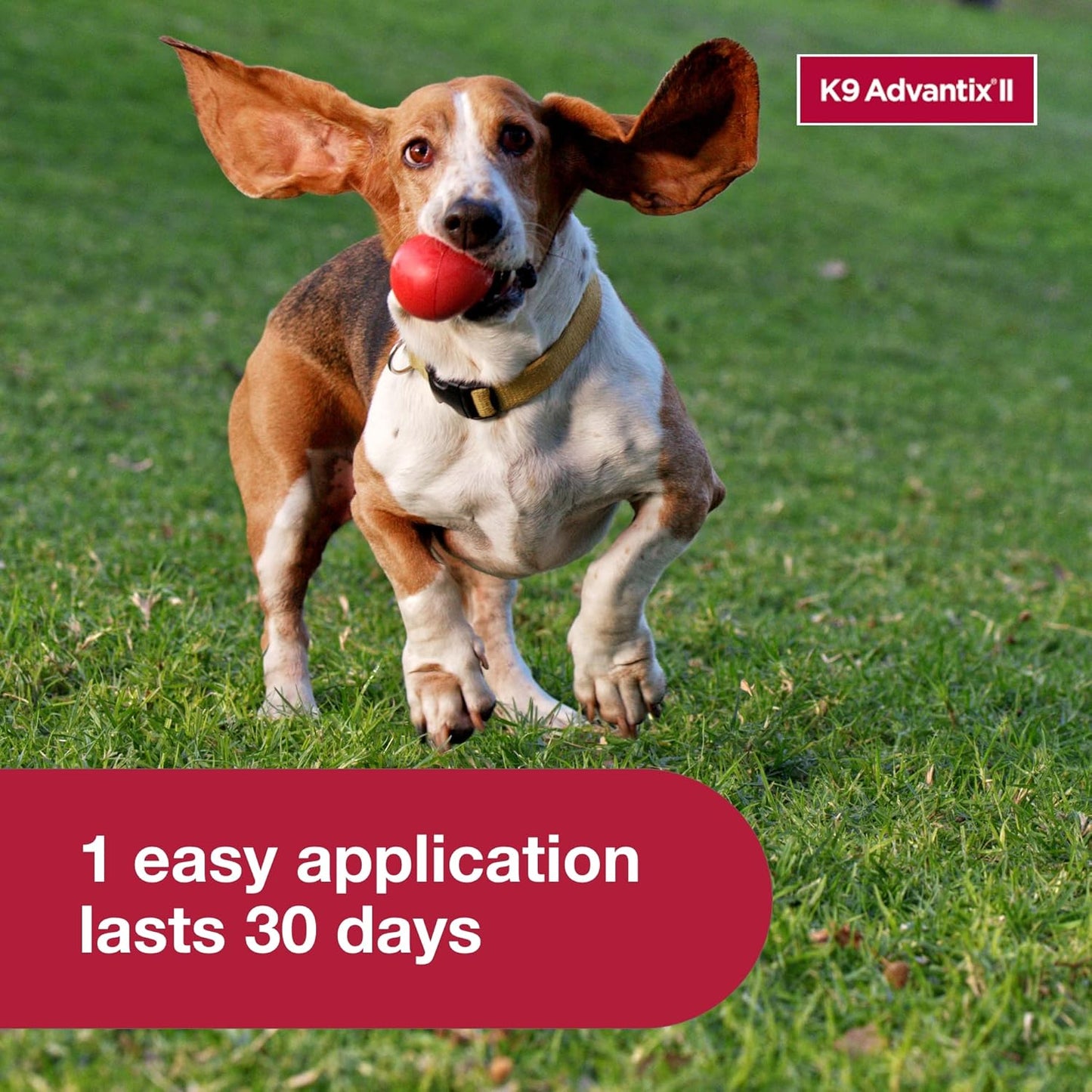 K9 Advantix II Small Dog Vet-Recommended Flea, Tick & Mosquito Treatment & Prevention | Dogs 4-10 lbs. | 4-Mo Supply