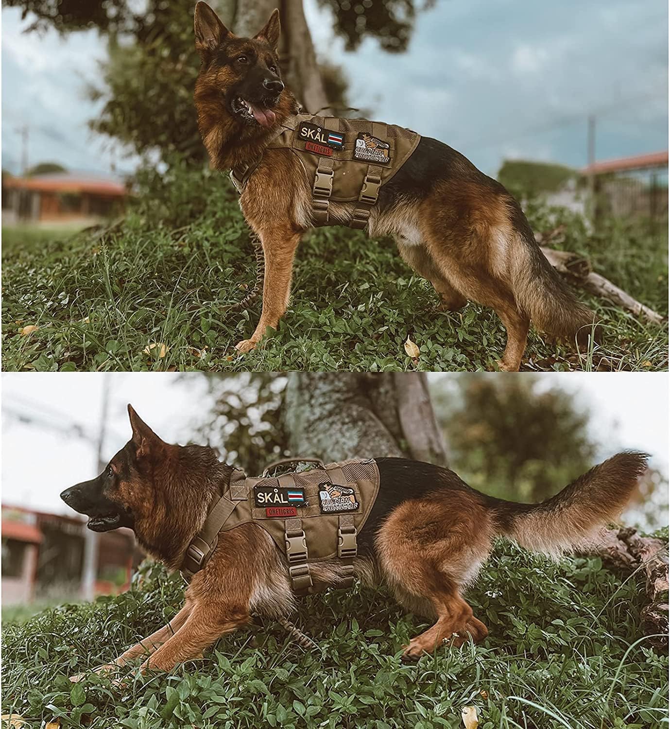 OneTigris No Pull Tactical Dog Harness for Medium Dogs, Aire Mesh Dog Vest Harness, Breathable Military Dog Molle Vests with Handles, Service Dogs Vest for Walking Hiking Training (L, Brown)