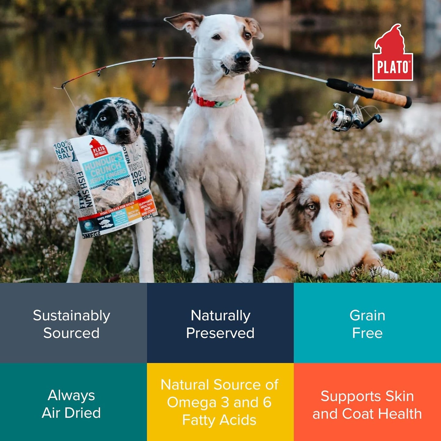PLATO Hundur's Crunch Jerky Fingers 3.5oz, Natural