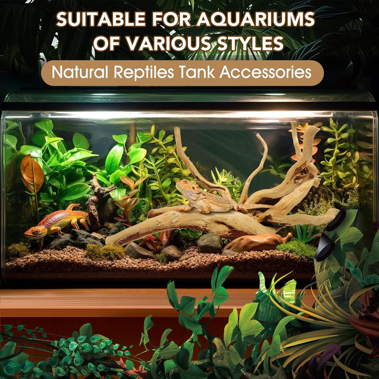 Natural Small Spiderwood Driftwood for Aquarium Decor Rptile Fish Tank Decoration Assort Branch 4-7'' 8 Pcs