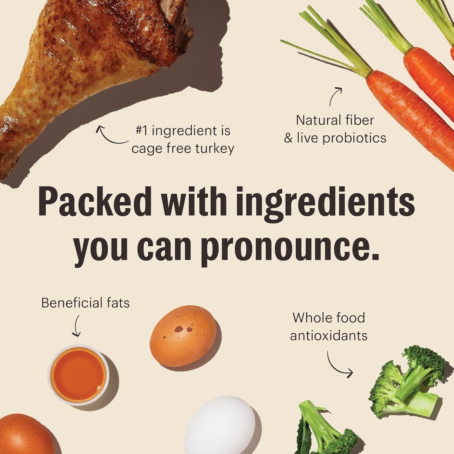 The Honest Kitchen Whole Food Clusters Grain Free Turkey Dry Dog Food, 20 lb Bag