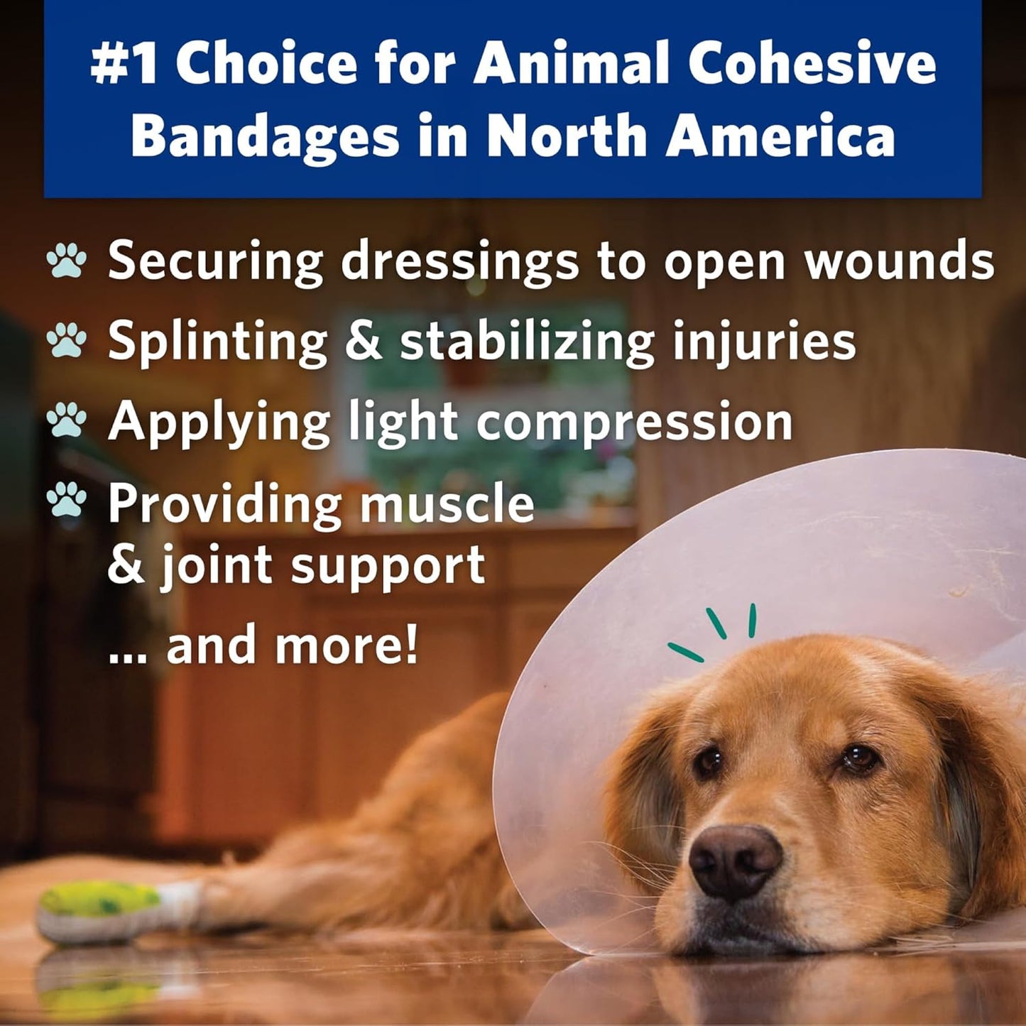 PetFlex Color Pack – Flexible Self-Adhering Elastic Bandage for Wound Care – First Aid Wrap for Small Animals Like Dogs, Cats, and Other Pets - 2 inch, 6 Rolls