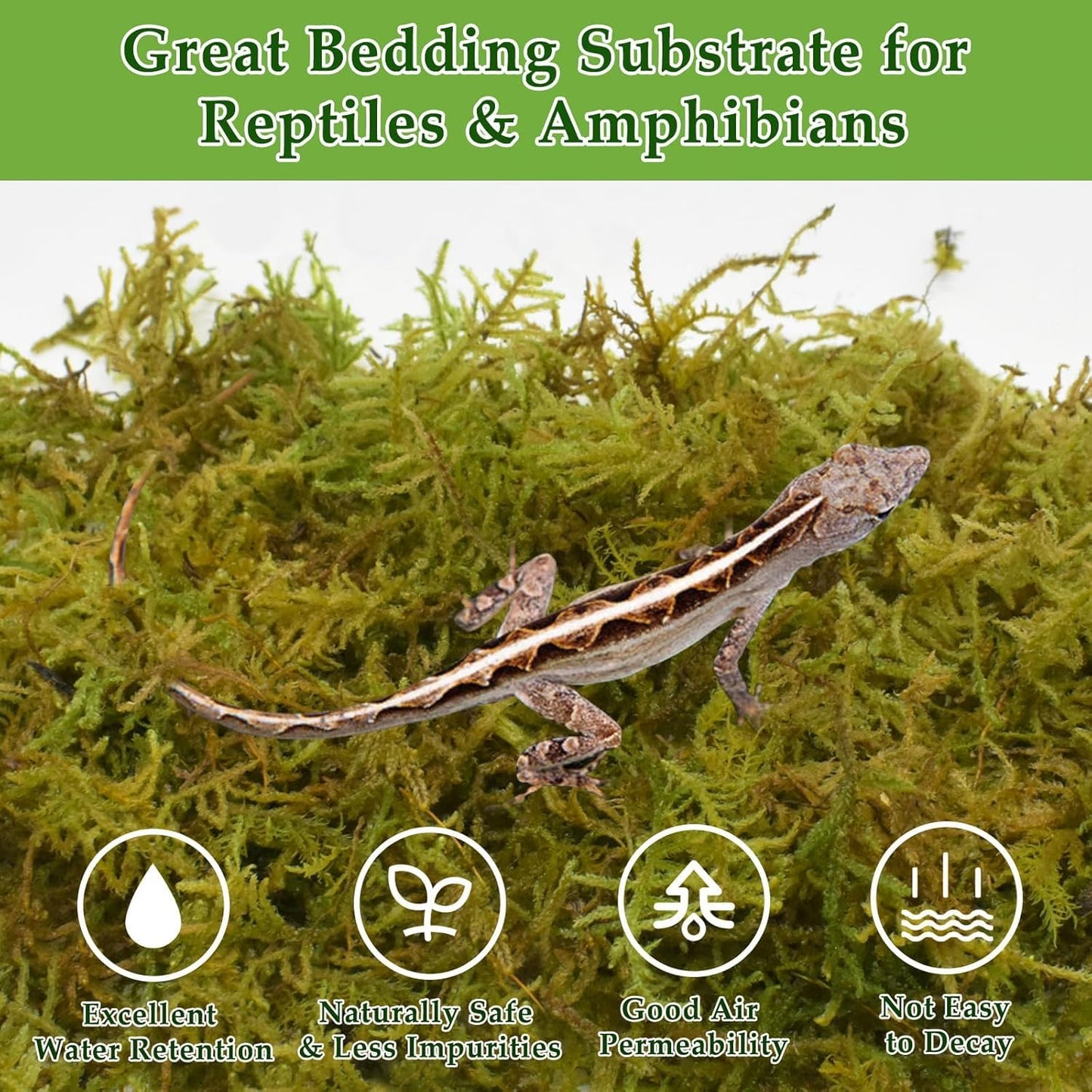 Halatool 2.2LB Natural Sphagnum Moss for Reptiles- 50QT Green Live Moss for Terrarium Plants Long Fiber Reptile Moss for Leopard Gecko Snake Hamsters Tortoises Frogs Lizards Salamanders