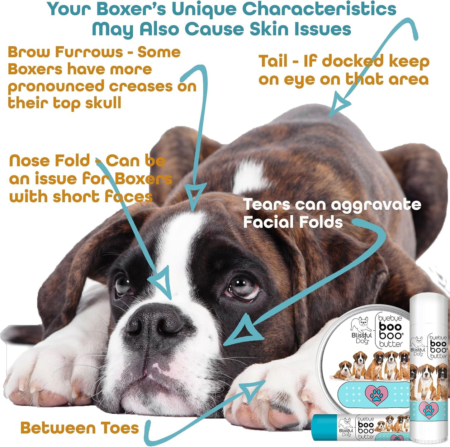 The Blissful Dog 2 oz TIN Boxer Booboo Butter