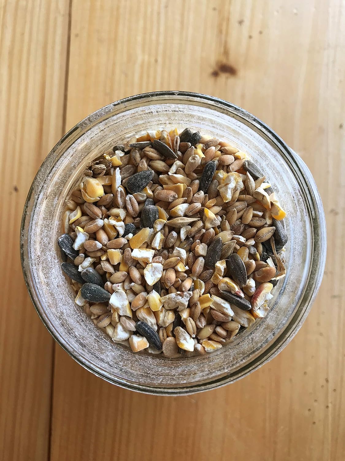 Ernst Grain & Livestock's Bird and Wildlife Feed – Perfect for Birds, Ducks, Squirrels, Turkeys, Rabbits, Geese, and Deer – Non-GMO Wild Animal & Bird Feed for Outside Feeders (25lb Bag)