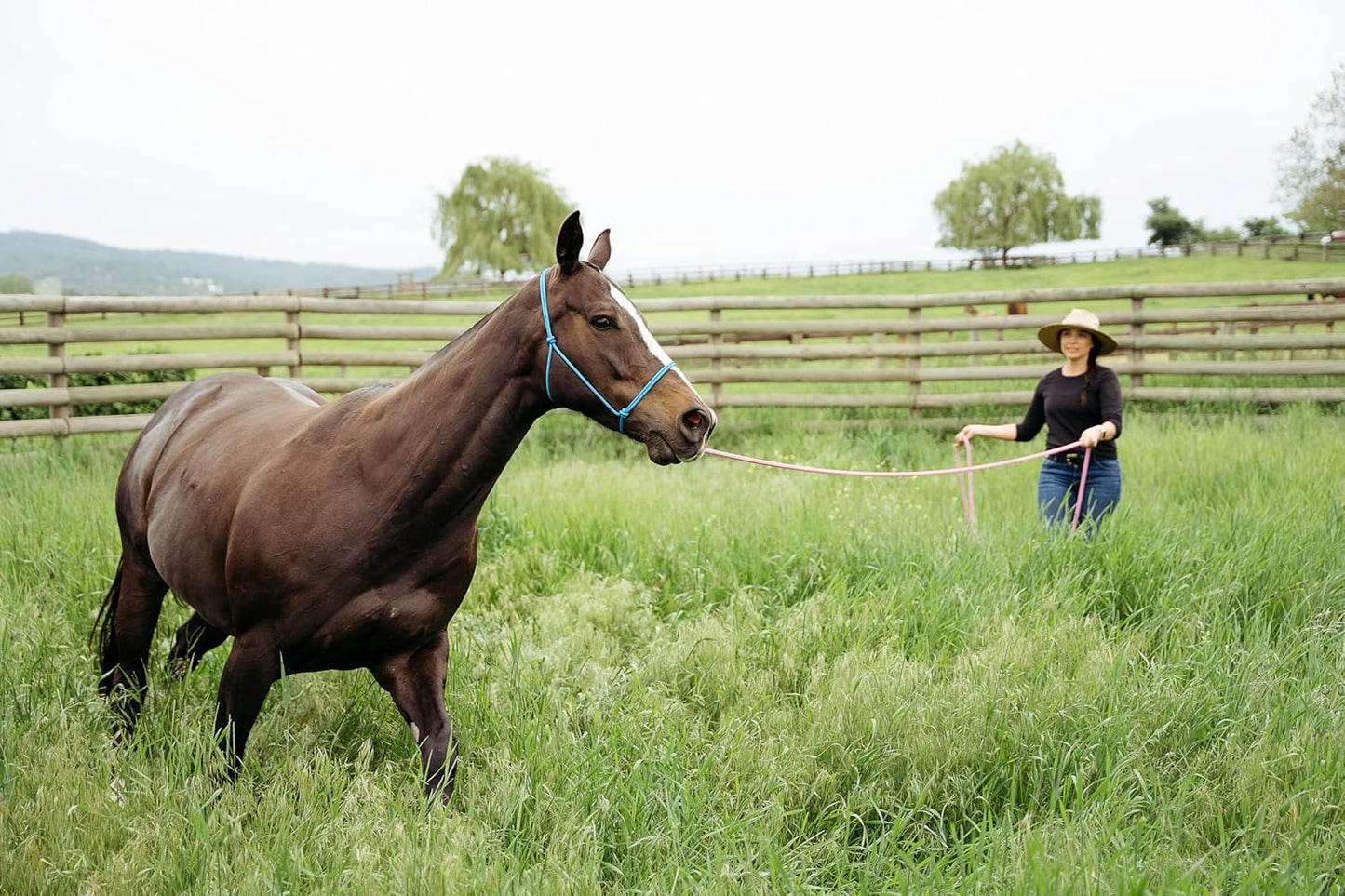 22' Long Line with SS O Ring and Carabiner (Neon Orange)