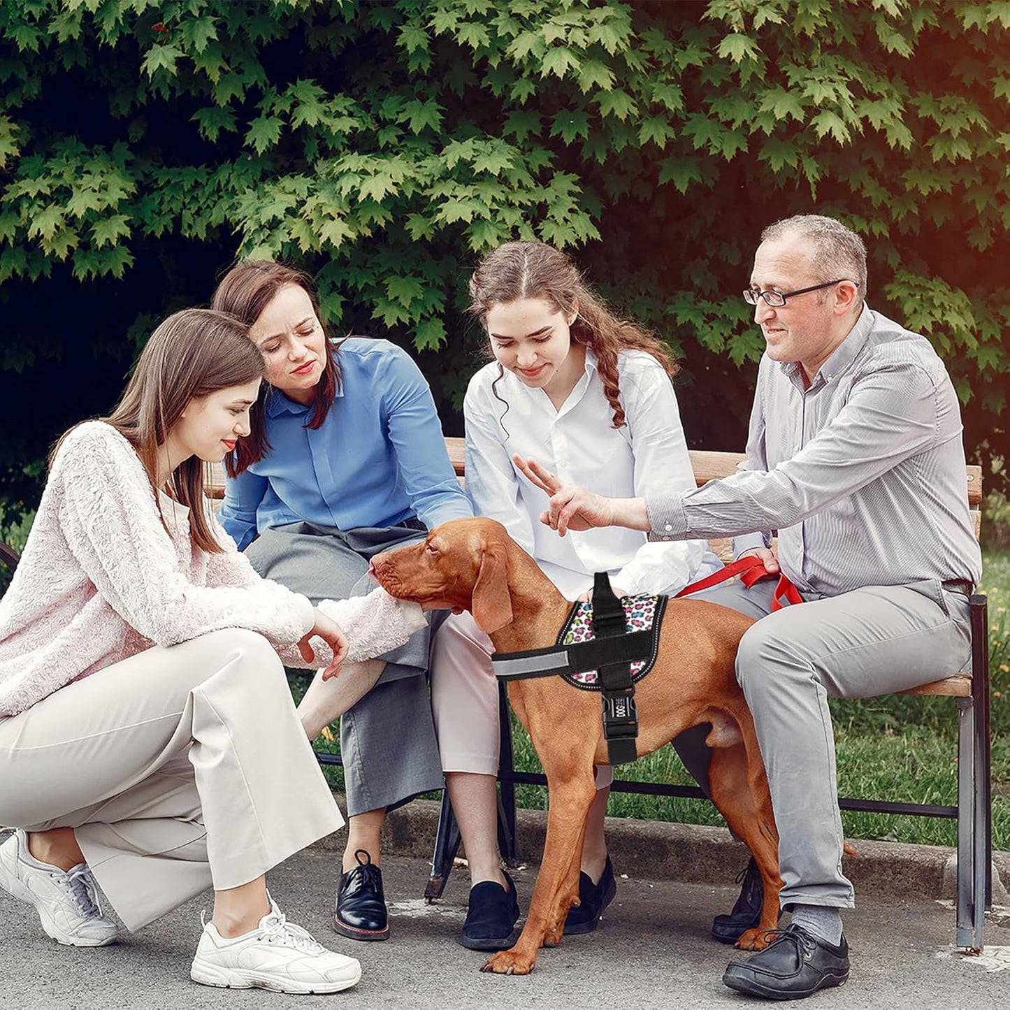 Dogline Dog Harness, Reflective No-Pull Adjustable Vest with Handle for Walking, Training, Breathable, No - Choke Harness for Small, Medium or Large Dogs Room for Patches Leopard Rainbow M 22"-28"