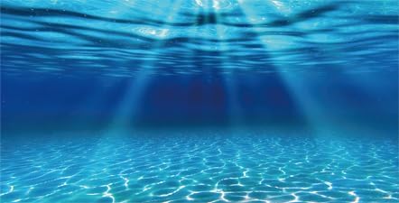 Reptile Habitat Background, Retro Desert Oasis Cactus Terrarium Background Background with 8 EVA Double-Sided Tape (Ocean, 60X24in/150X60cm)