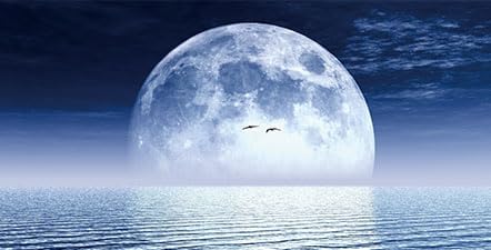 Moon Aquarium Background,Cool Sea Galaxy Parallel Space Themed Fish Tank Background, Cool Terrarium Background 48X24IN with 8 EVA Double-Sided Tape