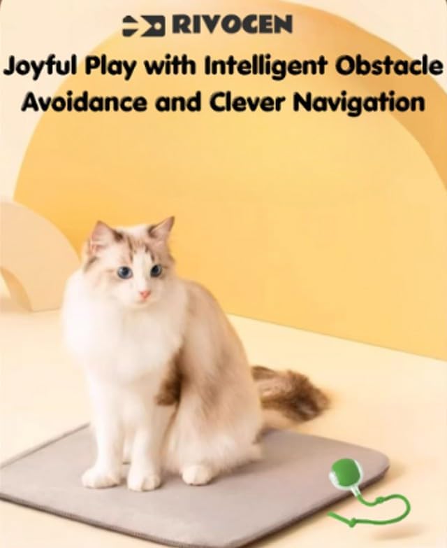 Indoor Cat Interactive Toy 360-degree Automatic Rolling Toy with Floor Flashing and Random Rolling for Cats and Dogs. Continuous Excitement, Fun and Stimulation for Your Cats and Dogs (Green)