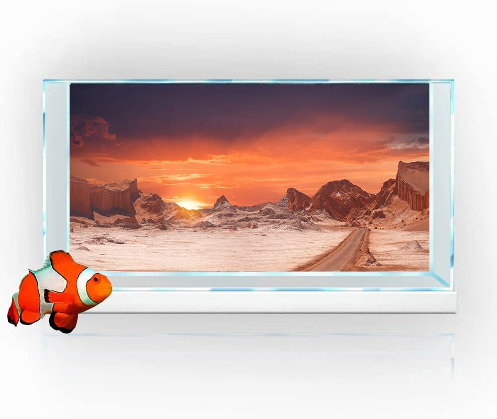 36X24IN Sun and Desert Moon Themed Reptile Habitat on Orange Durable Decorative Background, Terrarium Background with 10EVA Double-Sided Tape