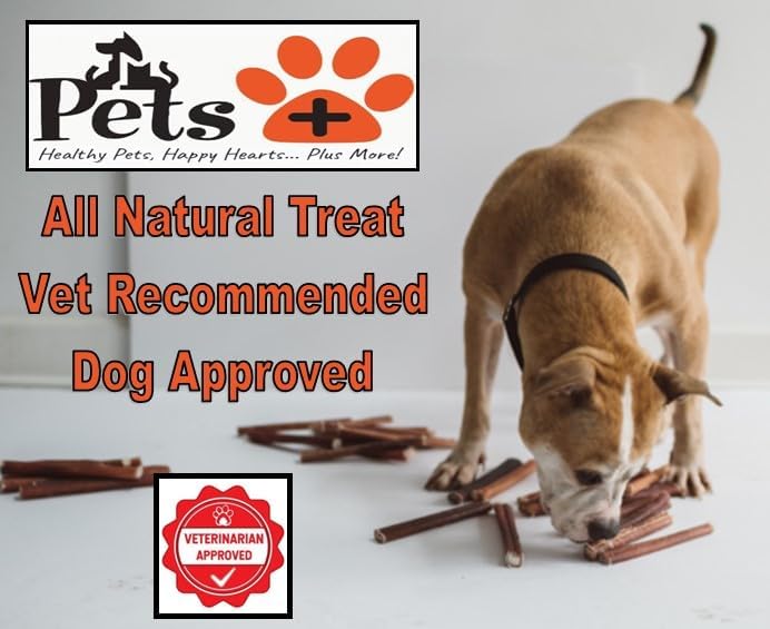 Pets Plus Premium Bart's Bully Sticks for Dogs – 6 Inch, Medium Size, All-Natural, Long-Lasting Chews for Moderate Chewers – High Protein, Low Odor, Grain-Free (15-Pack)