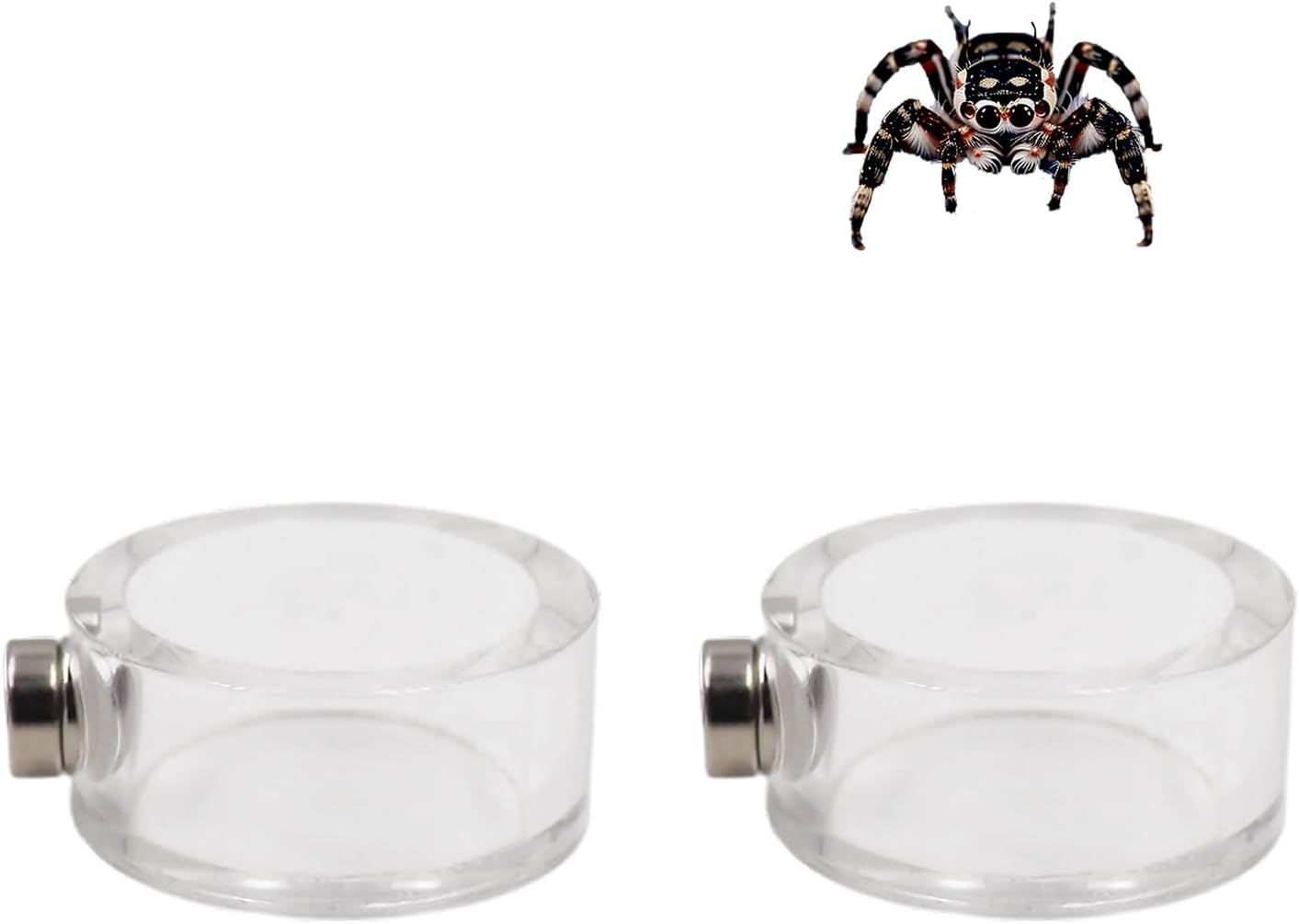 2 Pack Jumping Spider Enclosure Accessories, Leak-Proof Jumping Spider Feeding Dish with Magnet, Acrylic Water Bowl for Jumping Spider, Tarantula, Mantis, Other Small Reptiles or Insects