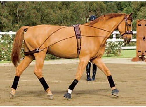 Dover Saddlery Balance Complete Training System, Color: Brown, Size: F/S