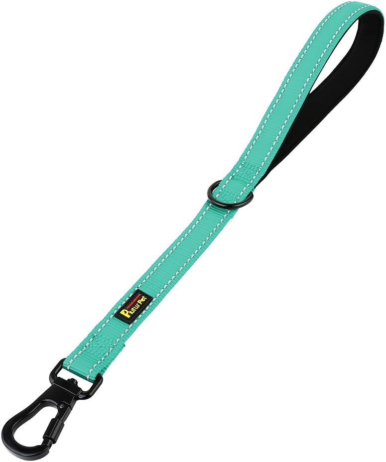 PLUTUS PET Short Training Dog Leash with Padded Handle for Medium Large Dogs,18 Inch Heavy Duty Strong Traffic Leash with Carabiner Clip for Climbing Walking or Guiding Blind(18”，Teal)