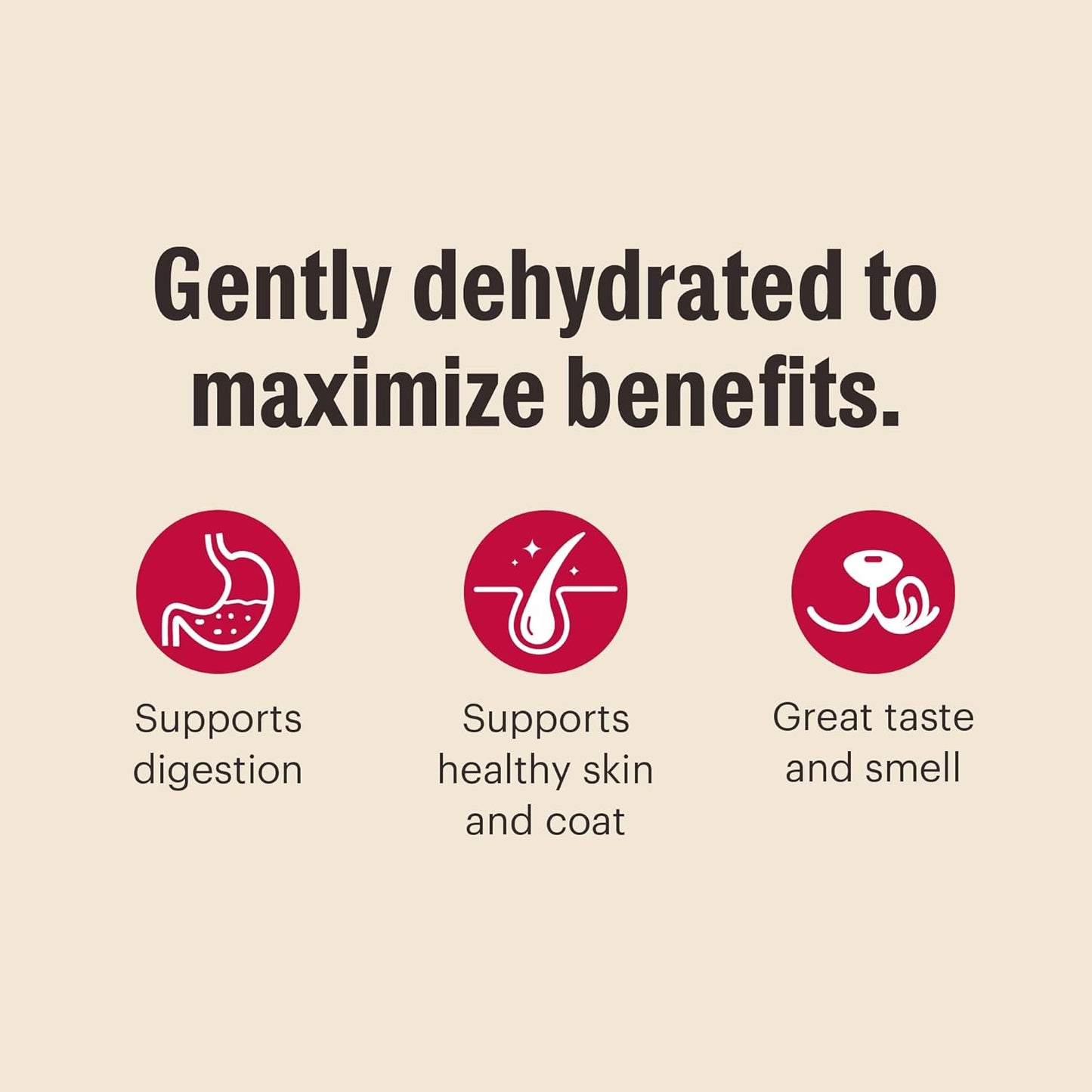 The Honest Kitchen Wholemade™ Grain Free Fish Dog Food, 10 lb Box