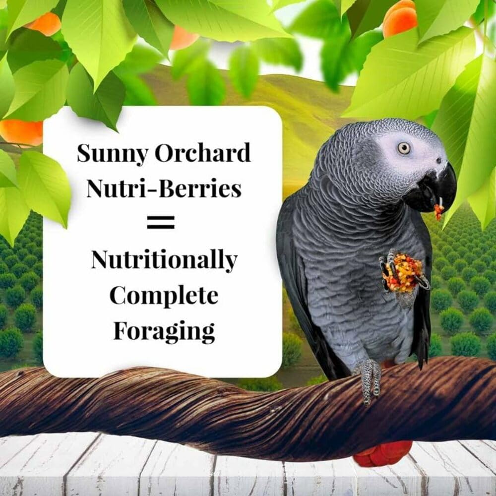 LAFEBER'S Sunny Orchard Nutri-Berries Pet Bird Food, Made with Non-GMO and Human-Grade Ingredients, for Parrots, 3 lb