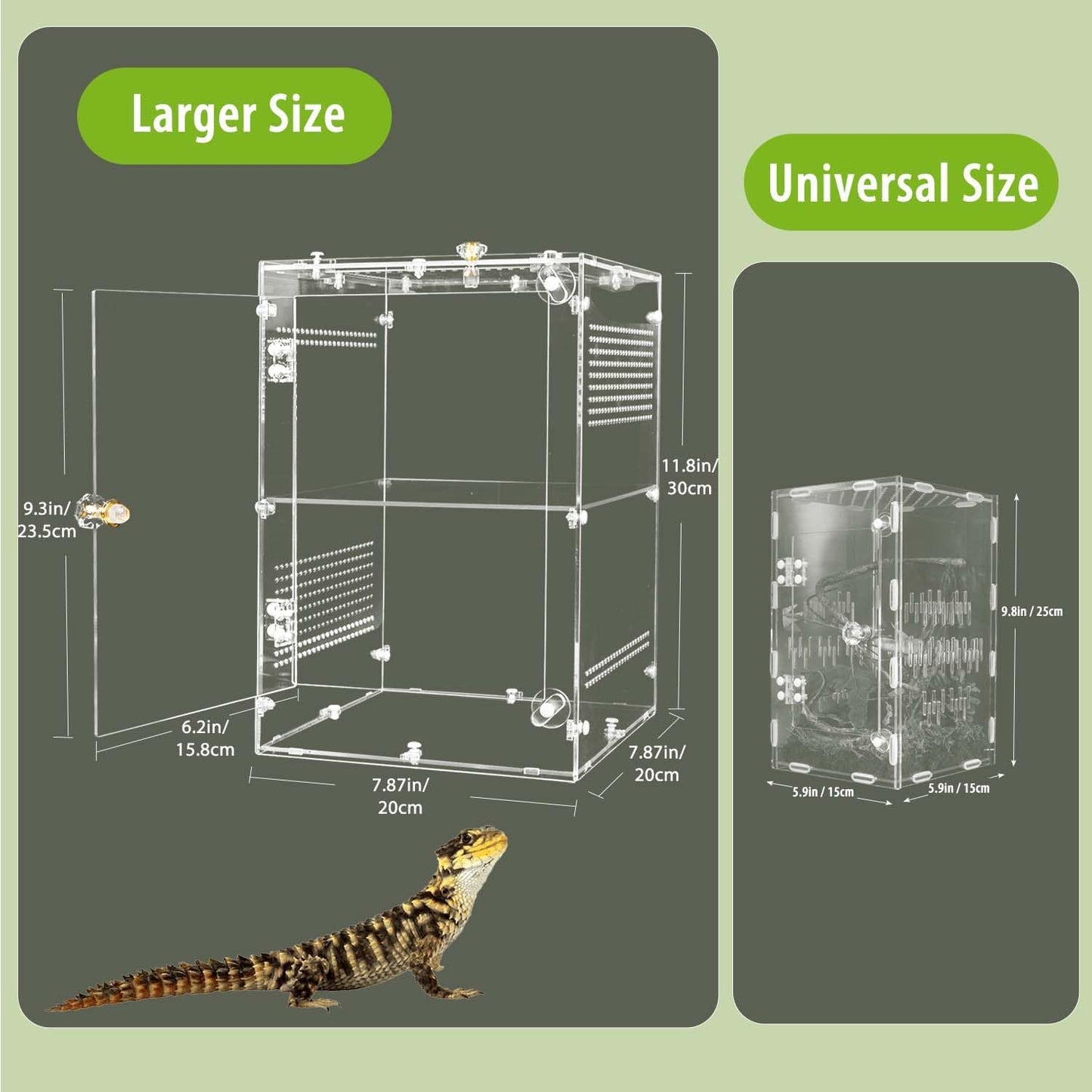 Large Jumping Spider Enclosure, 2 in 1 Acrylic Reptile Terrarium for Praying Mantis,Arboreal Tarantula,Frogs,Snails, 12"*8"*8" Breeding Habitat with Front & Top Opening Doors and Vent Holes