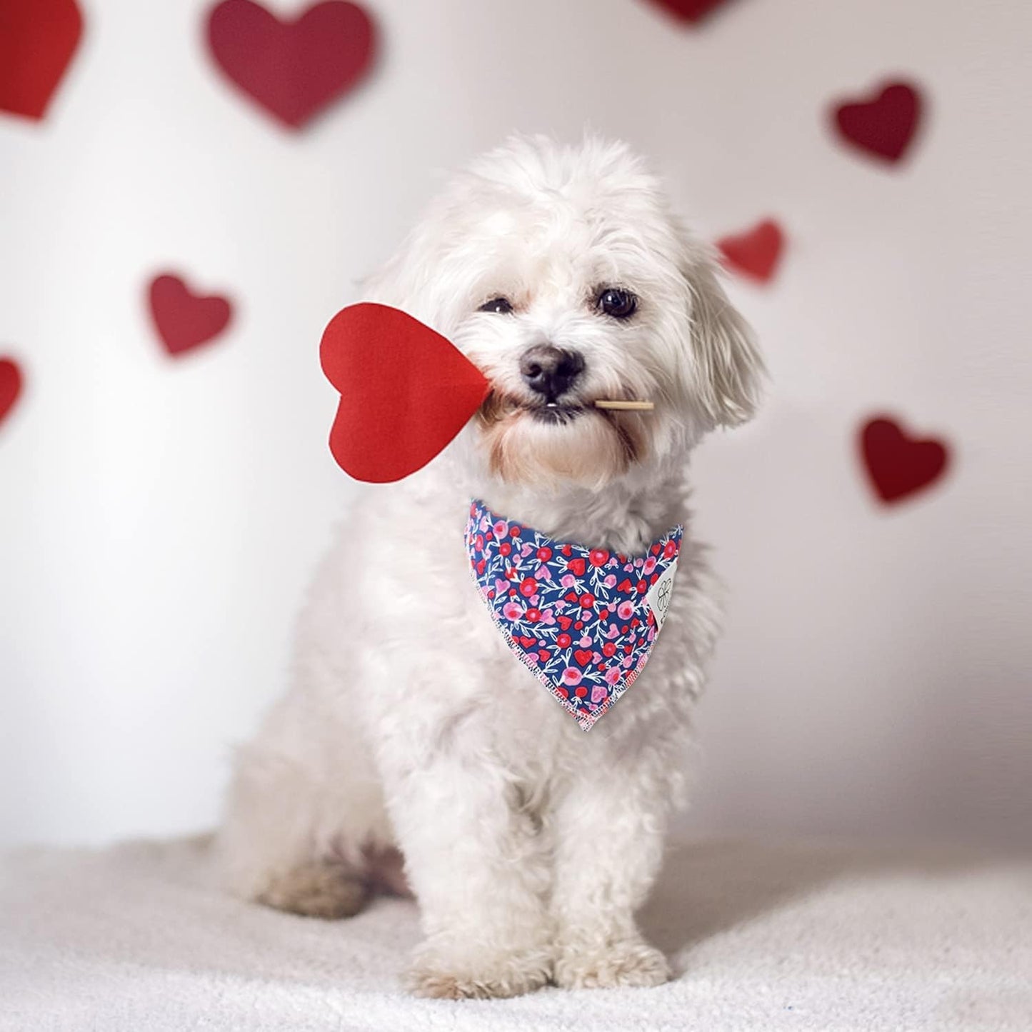 E-Clover Cute Girl Dog Bandanas & Matching Scrunchie Set Heart Dog Bandana Scarf with Bow Hair Ties for Small Puppy Dogs Pet Owner Mom Gifts Pink Floral