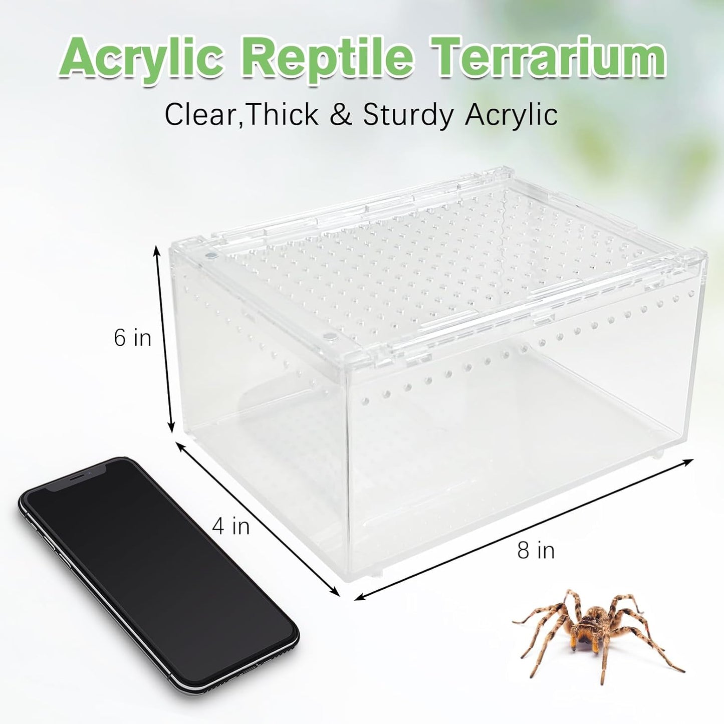 Acrylic Tarantula Enclosure Box No Assembly Reptile Terrarium 8x6x4in Transparent Sling Cage Magnetic Jumping Spiders Habitat Breeding Tank for Lizard Scorpion Insect Isopods Invertebrates