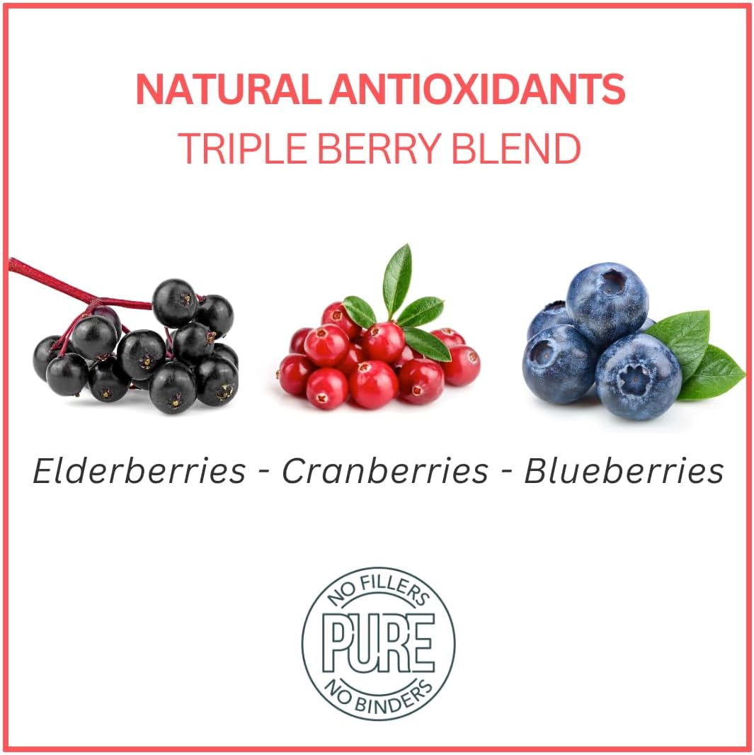 Bench & Field Holistic Natural Salmon & Triple Berry Dog Treats | Crunchy Bone-Shaped Bites | Antioxidant Blend, 10-Ounce Bottle