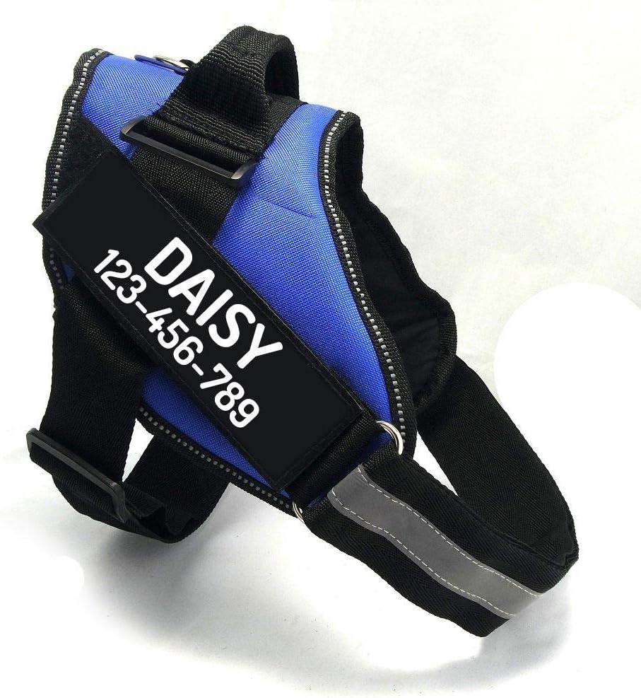 PawPawify Custom No Pull Dog Harness with Name and Phone Number, Heavy Duty Personalized Pet Vest to Prevent Tugging, Pulling, or Choking, Training and Walking (Blue, XXL (85-140 LBS))