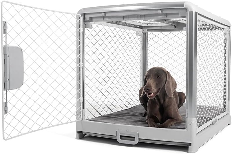 DIGGS Revol Collapsible Dog Crate with Wheels - Premium Portable Dog Crate - Safe, Stylish, and Convenient Indoor Kennel (Ash, Large)