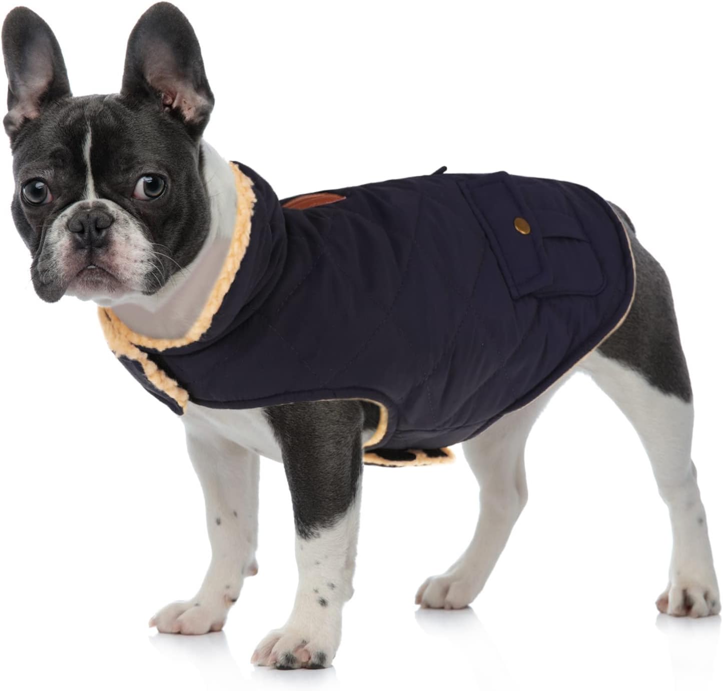 Queenmore Warm Puffer Dog Jacket, Quilting Winter Coat Ultra Thick Plush Lining with Storage Pockets (Dark Navy, X-Small)